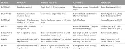 Episomal and chromosomal DNA replication and recombination in Entamoeba histolytica